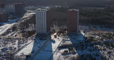 Салрьево парк 8 февраля 2020 года