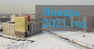 Саларьево парк январь 2021 года